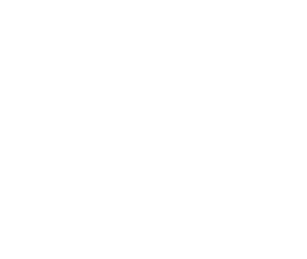 Survey author